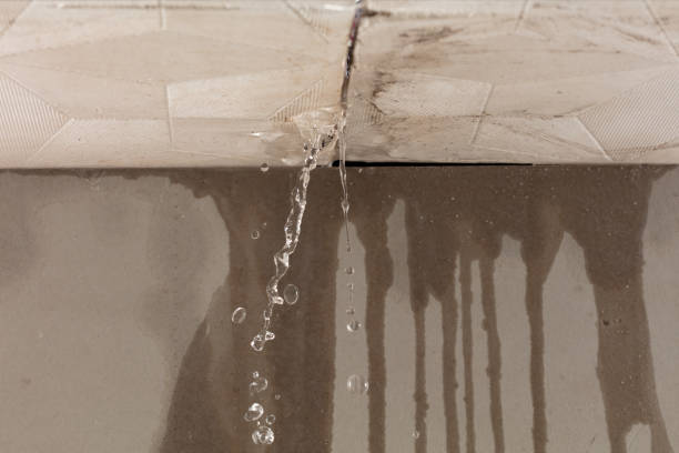 Professional Flood Damage Cleanup technician working in Josephine, TX